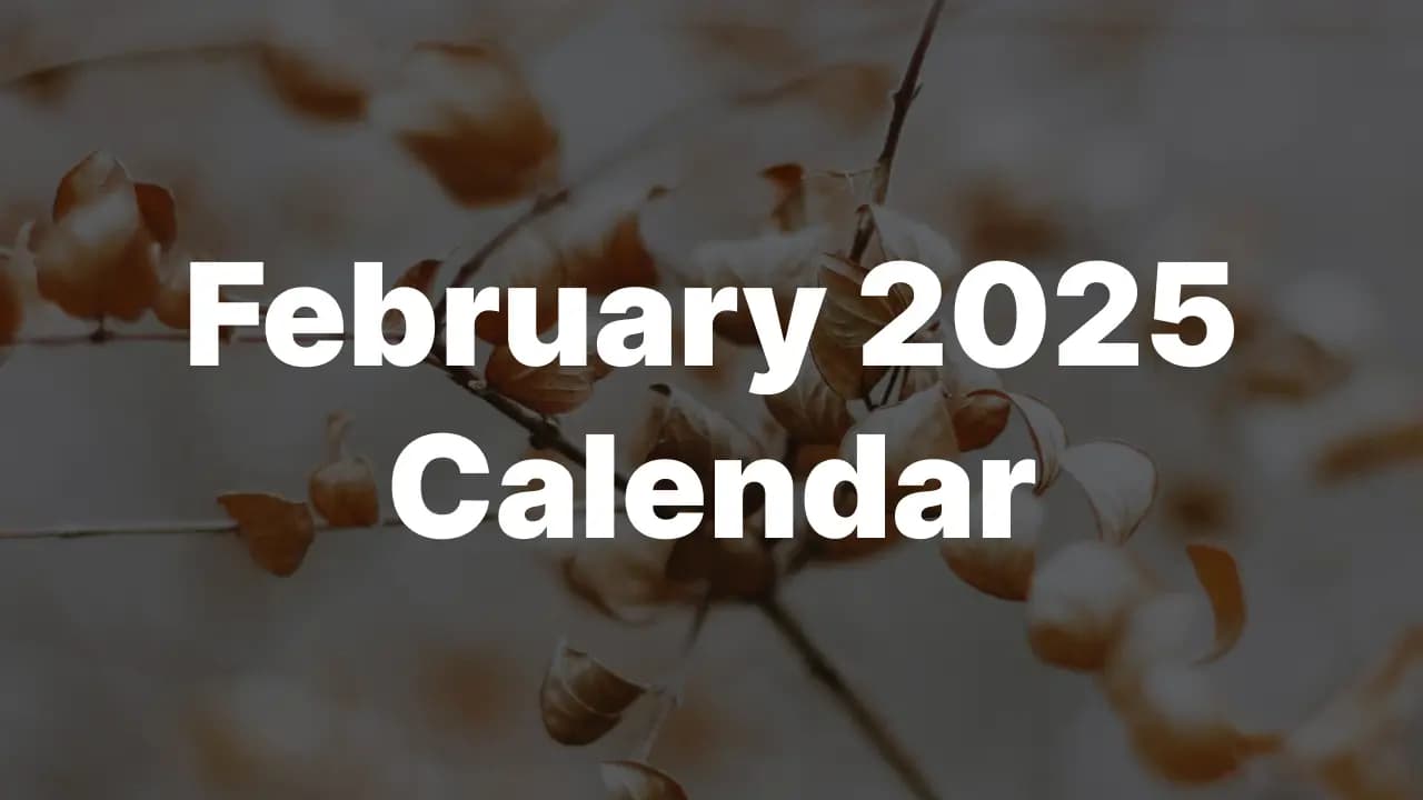 Download February 2025 USA Calendar