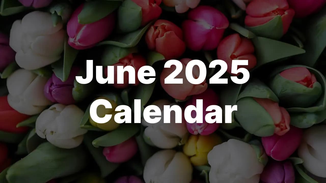 Download June 2025 USA Calendar