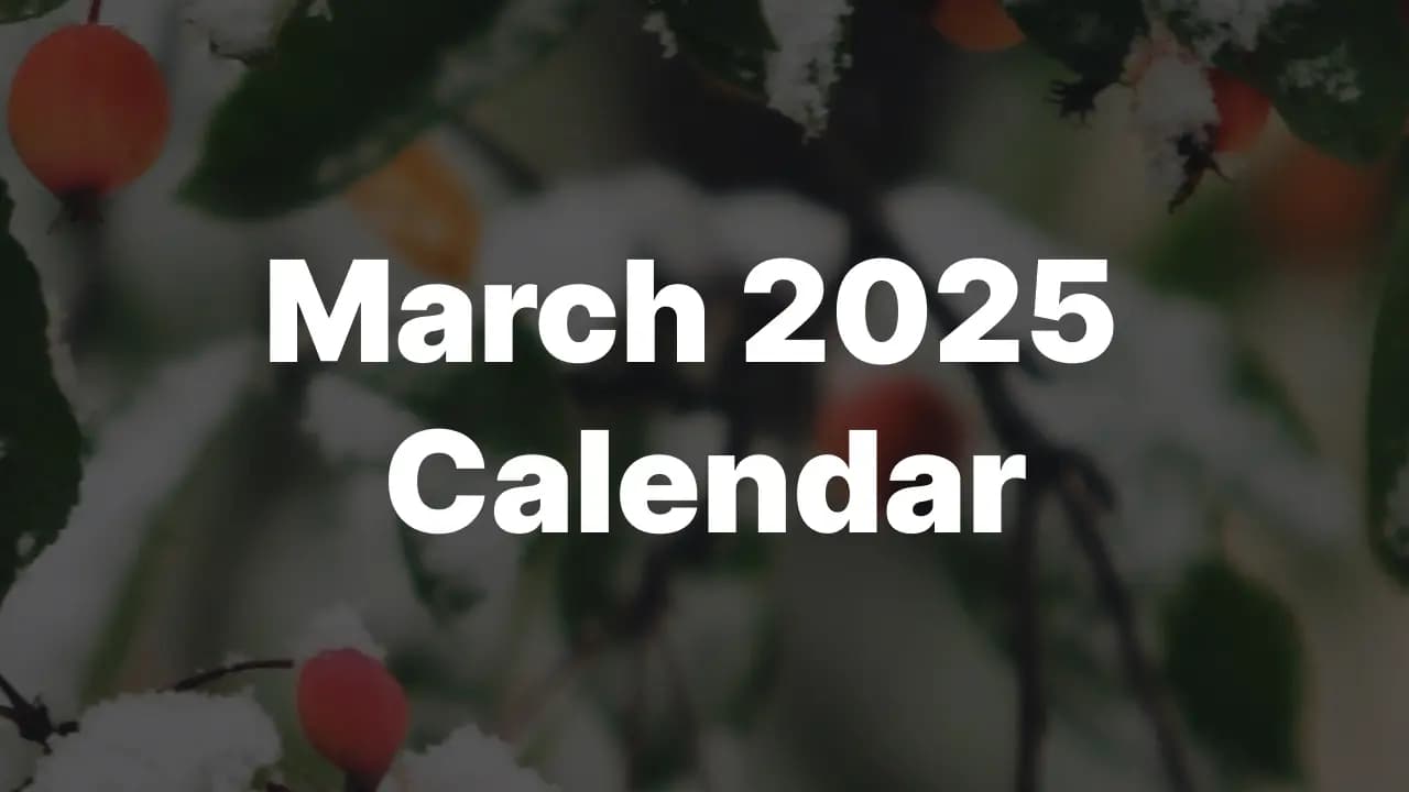 Download March 2025 USA Calendar