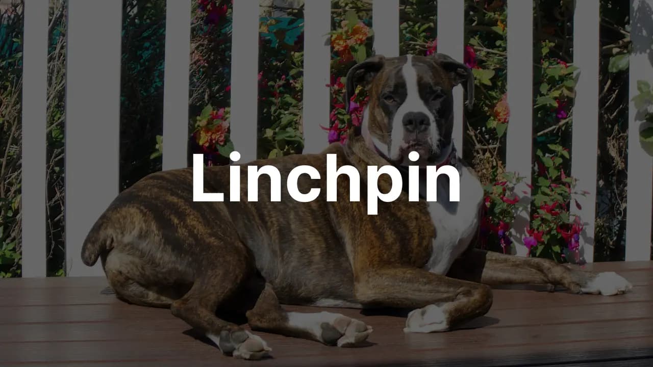 Linchpin 단어의 뜻과 예문