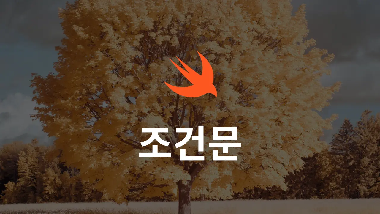 Swift 조건문 사용법: if, switch, guard 완벽 가이드